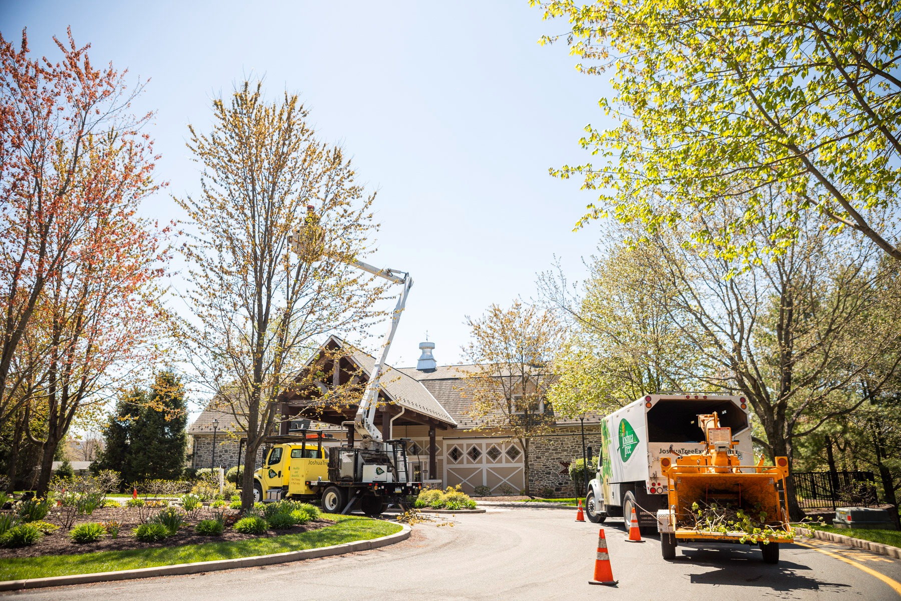 Commercial Tree Care, Lawn Care, Pest Control Allentown, Lansdale, PA
